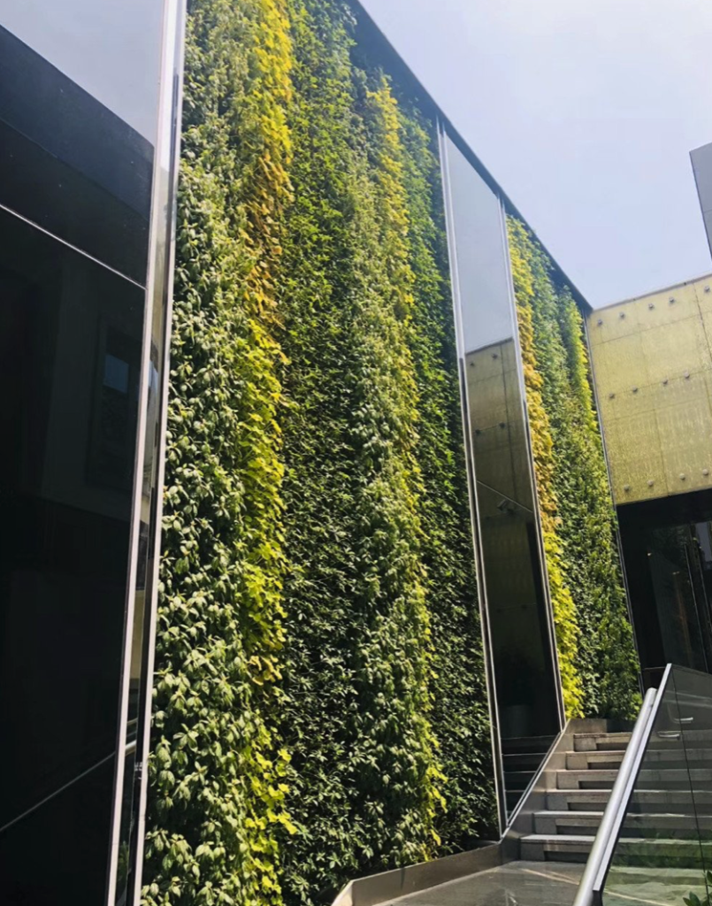 ¿Cuál es la mejor época del año para instalar un jardín vertical artificial?插图 ¿Cuál es la mejor época del año para instalar un jardín vertical artificial?插图
