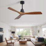 Why Your Ceiling Fan Isn’t Working but the Light Is