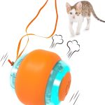 Feline Fun: Building an Interactive Cat Toy for Hours of Play