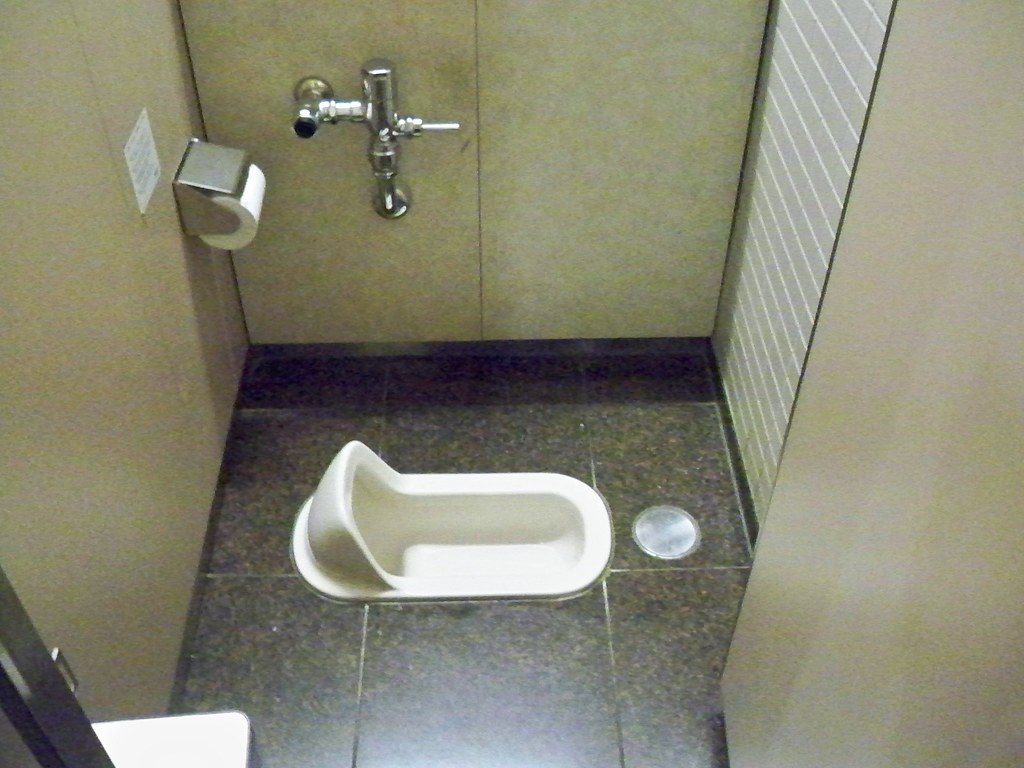 asian toilet