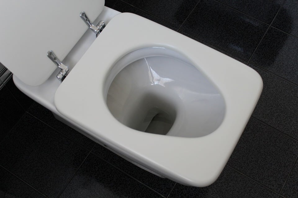 gurgling toilet