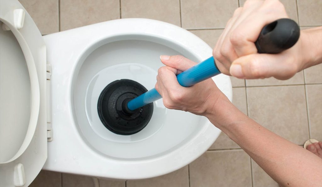 Clogged Toilet Troubles: What to Do When the Plunger Fails