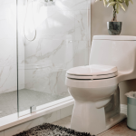 Sitting Pretty: The Best Toilet Brands for Your Bathroom