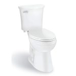 Flushing Mechanics: Understanding How Your Toilet Works