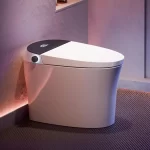 Heated Toilet: The Ultimate Guide to Warmth and Comfort