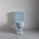 Blue Toilet Water: Causes, Solutions, and Maintenance Tips