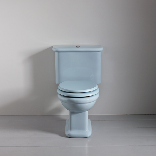 Blue Toilet Water: Causes, Solutions, and Maintenance Tips