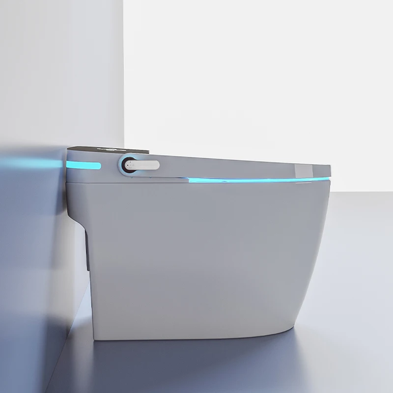 best toilet with built-in bidet