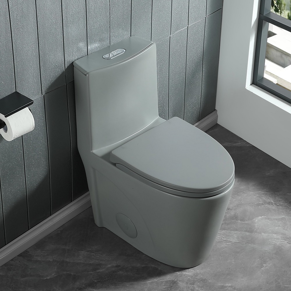 gray toilet
