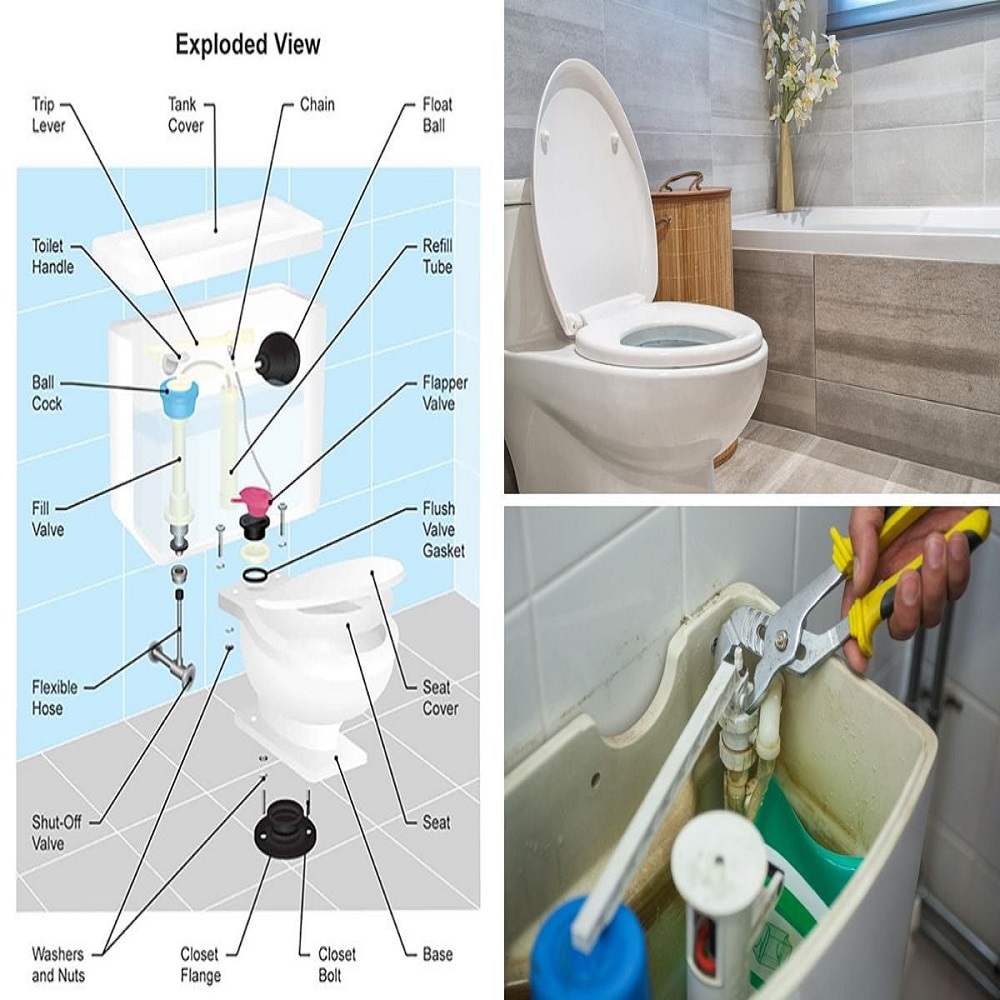 anatomy of a toilet