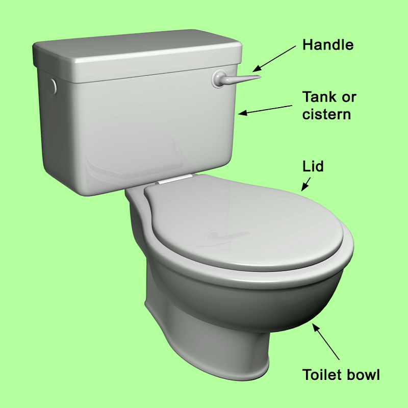 Toilet Tank Mechanics: An Inside Look