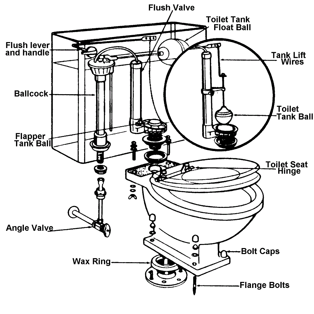 anatomy of a toilet