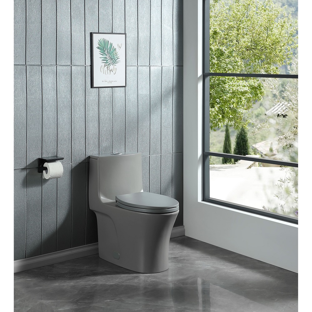 gray toilet