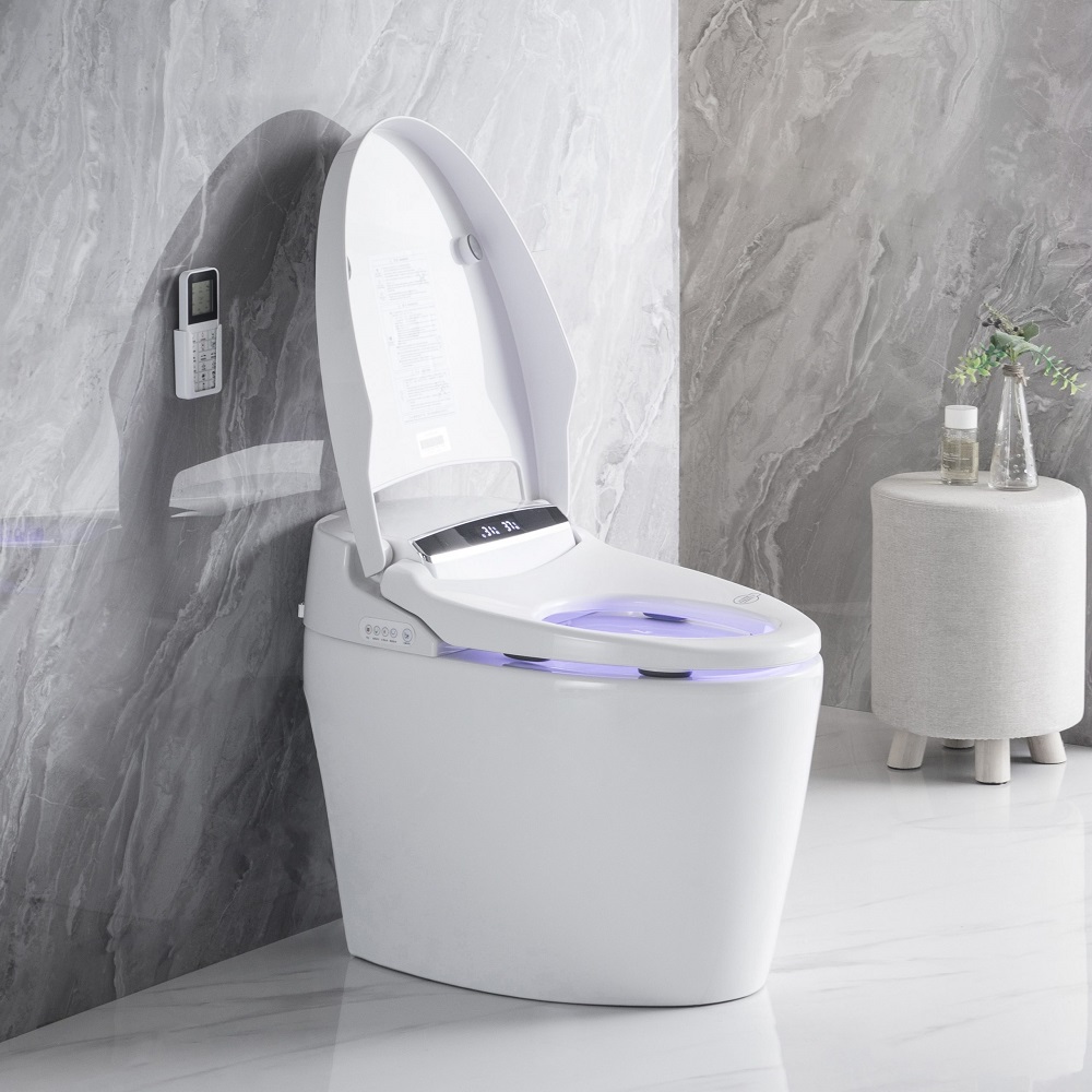 what is a smart toilet