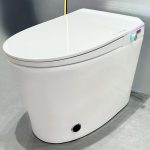 japanese bidet toilet