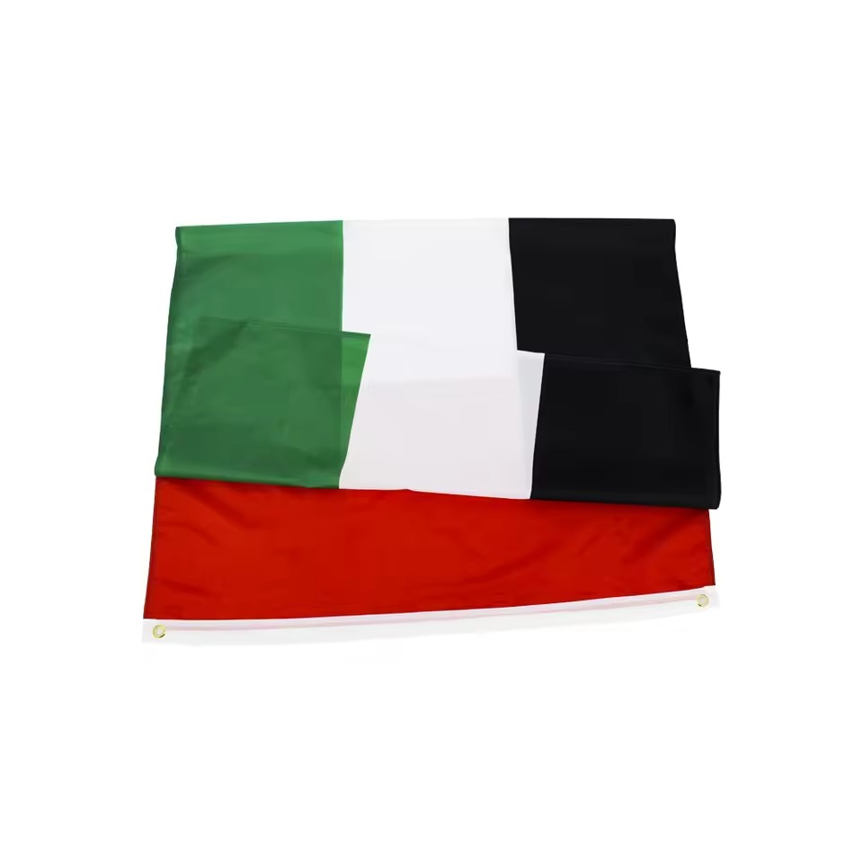 Dubai flag