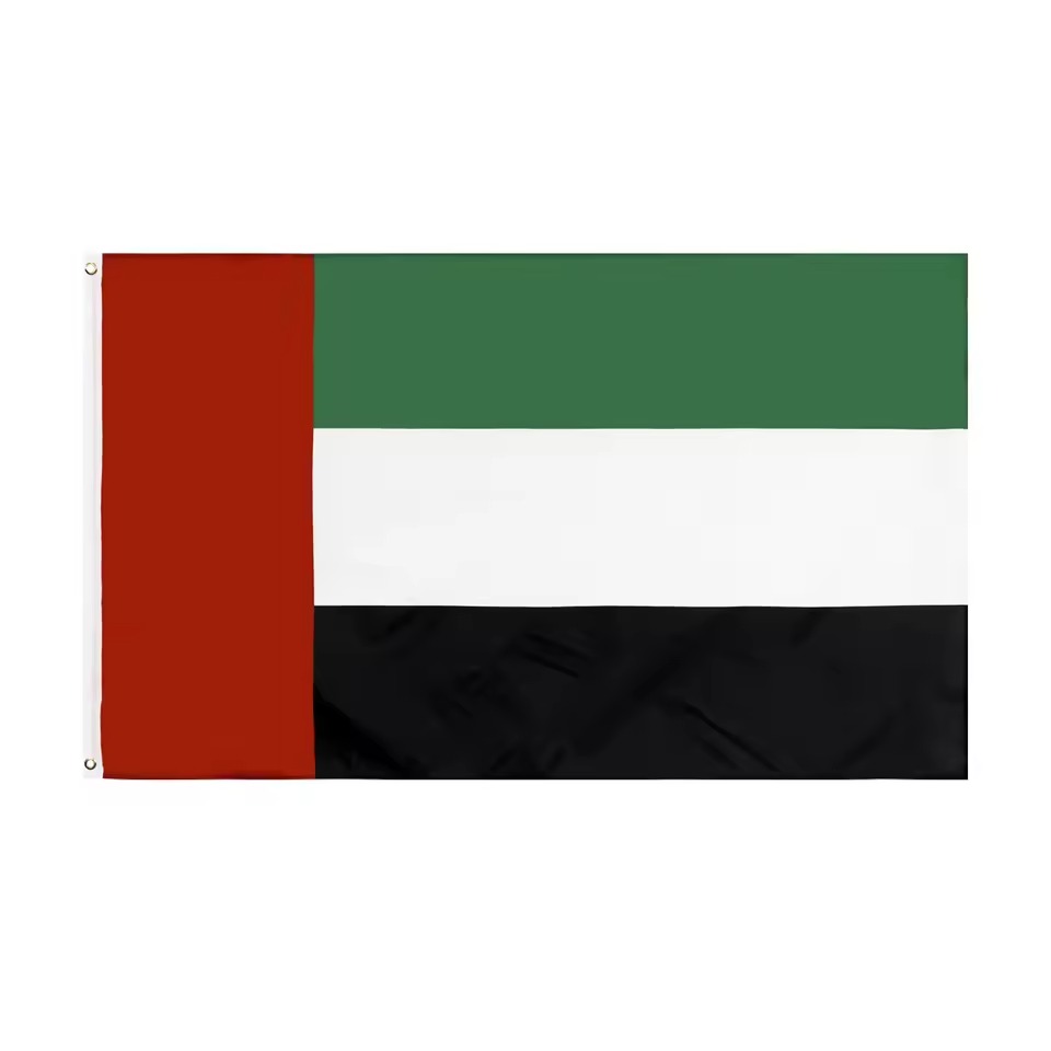 Dubai flag