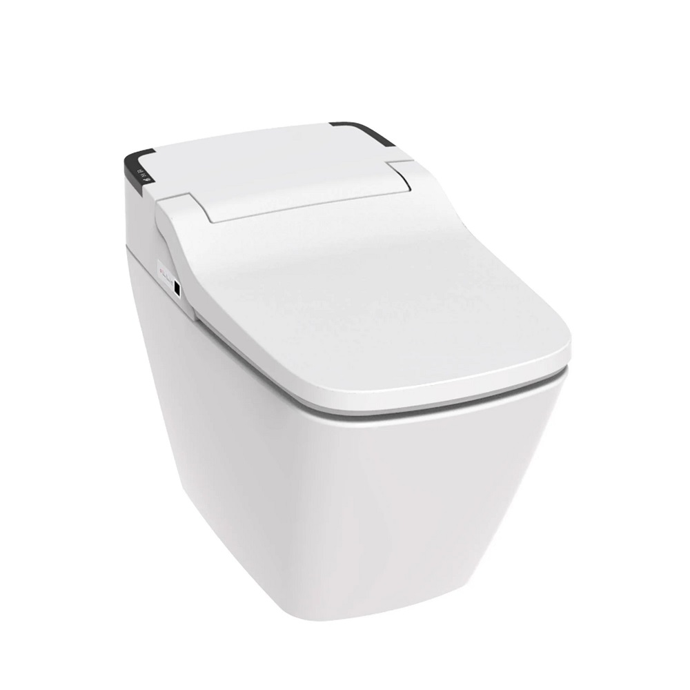 japanese bidet toilet