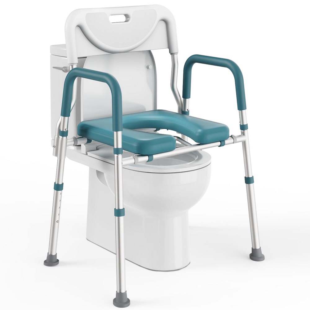 raised toilet seat for elderly