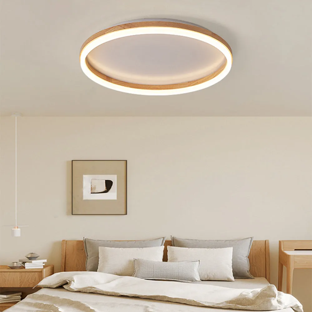  ceiling light