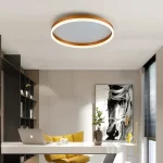 flush mount ceiling light