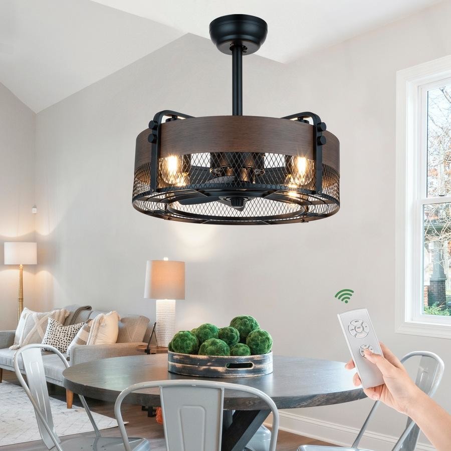 ceiling fan with light