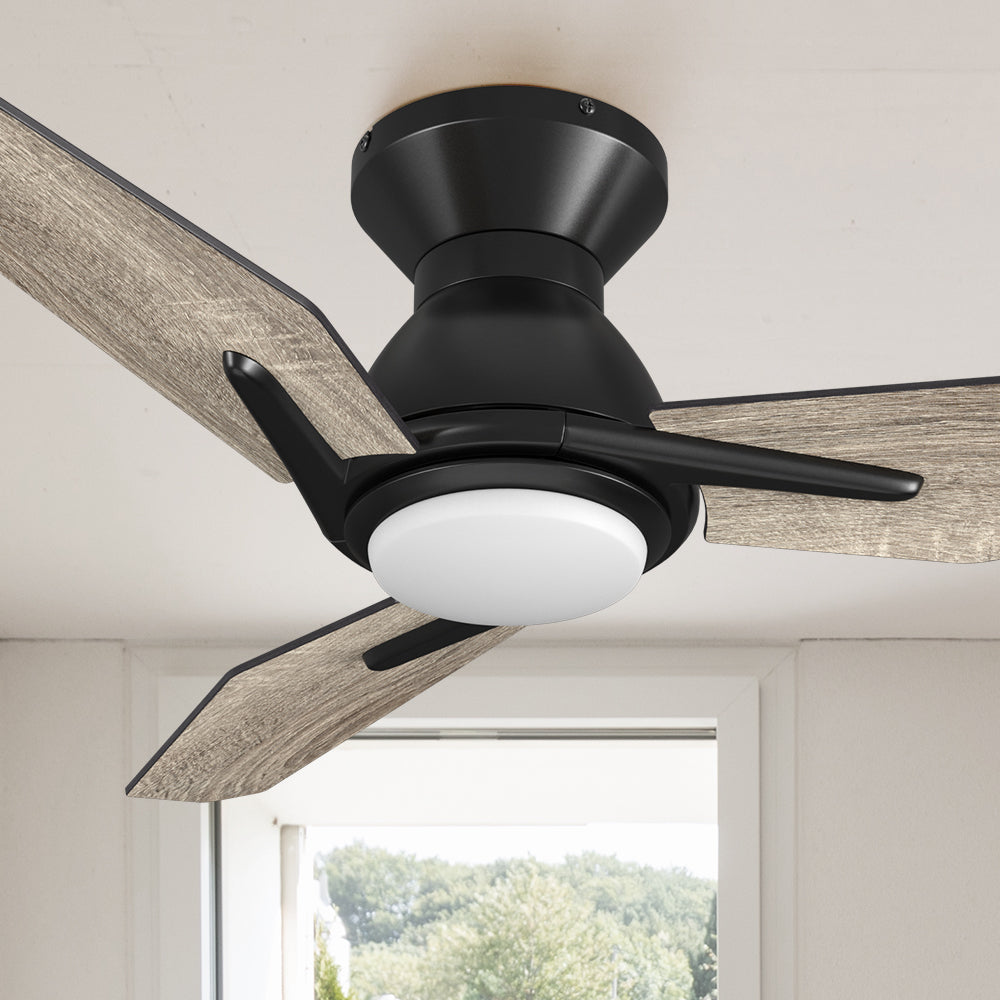 ceiling fan with light