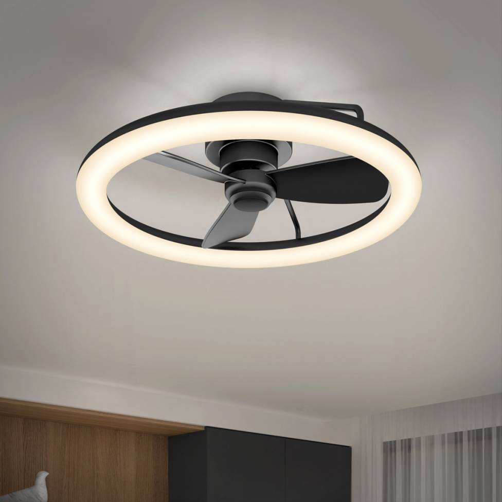 ceiling fan with light