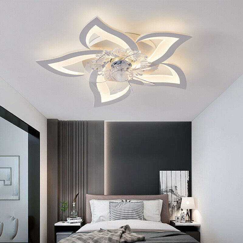 ceiling fan with light