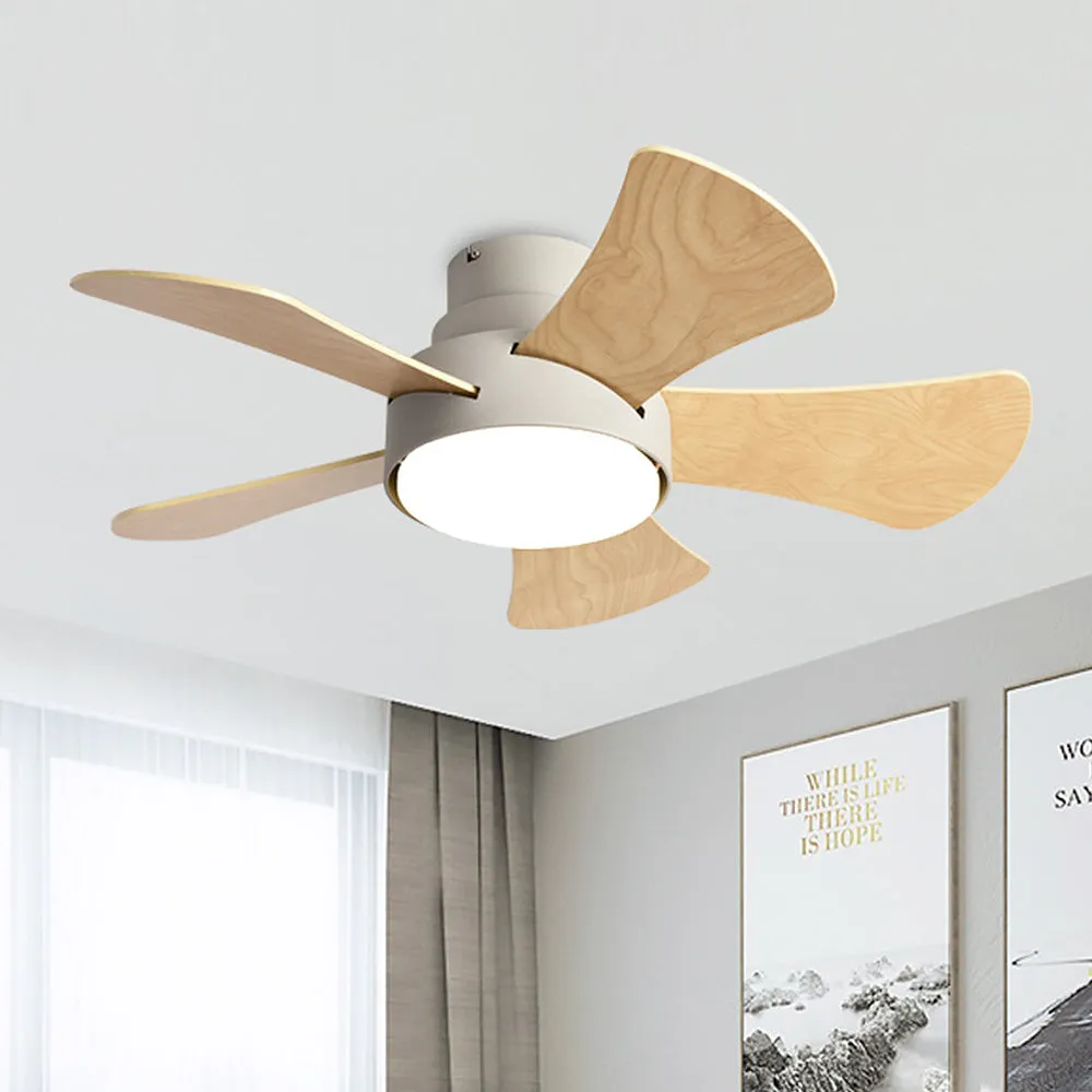 ceiling fans with light