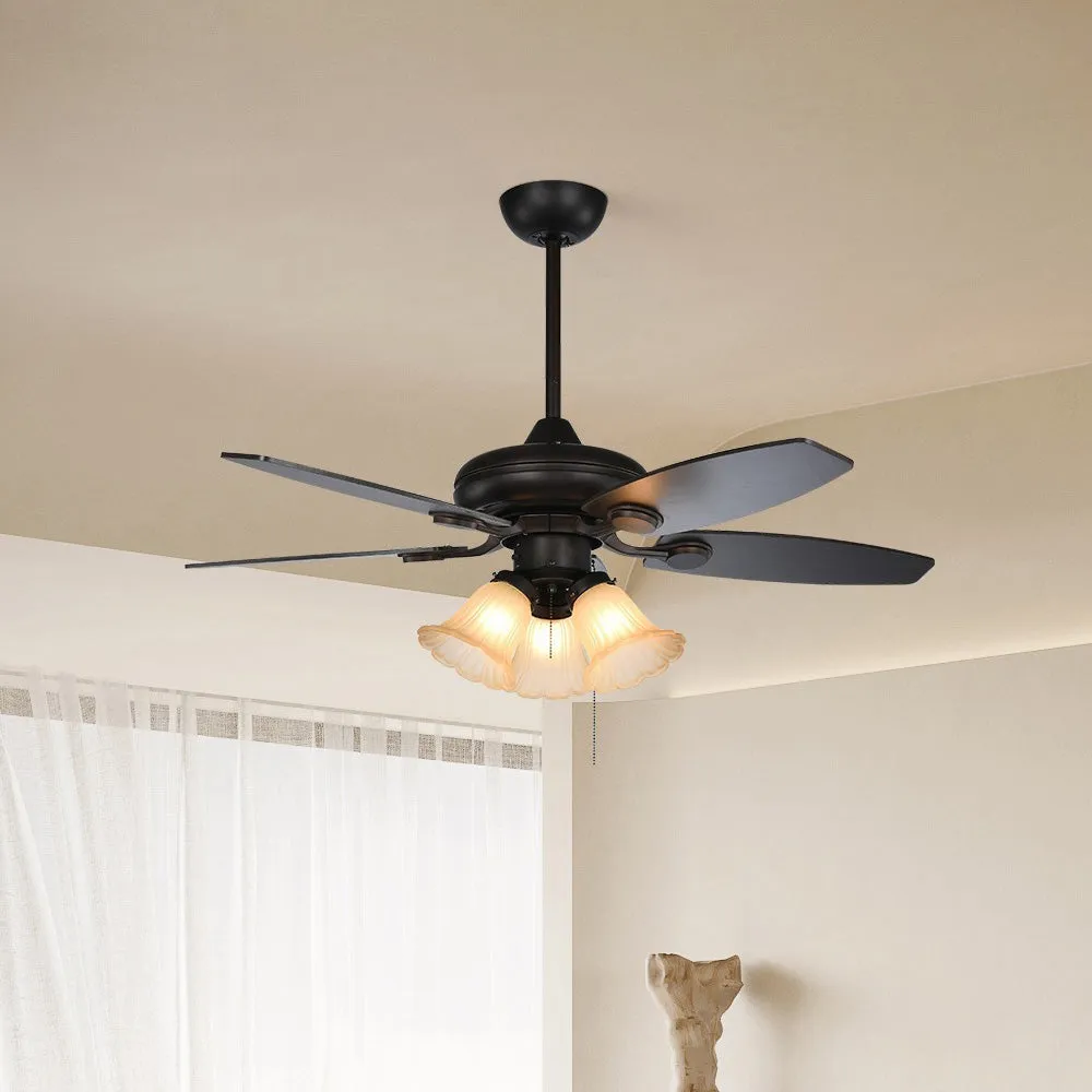 ceiling fans with light