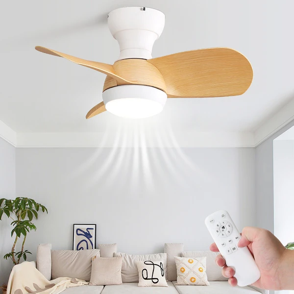 small ceiling fan with light