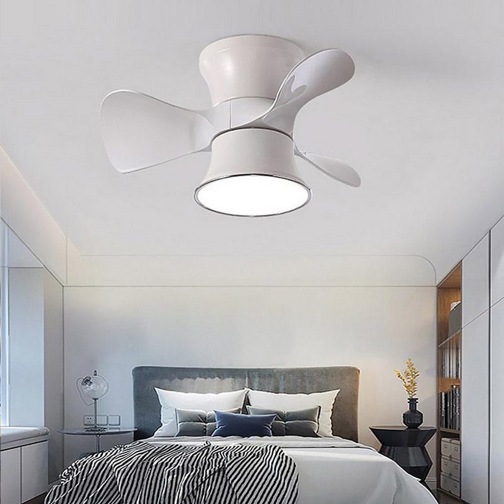 small ceiling fan with light