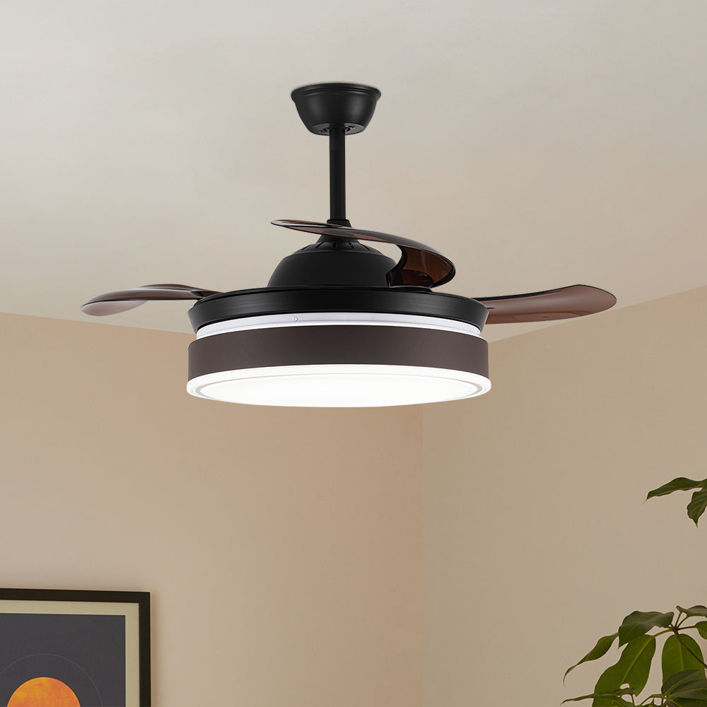 ceiling fan with light