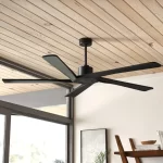 ceiling fan light