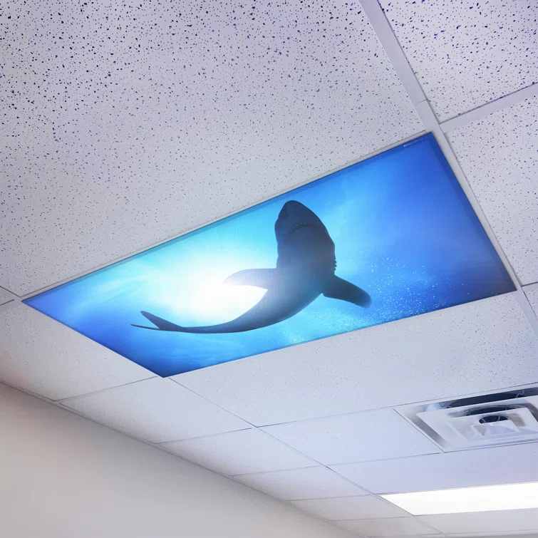 ceiling light cover