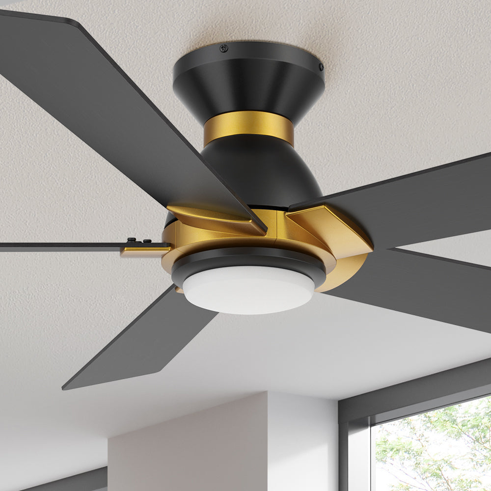 black ceiling fan with light