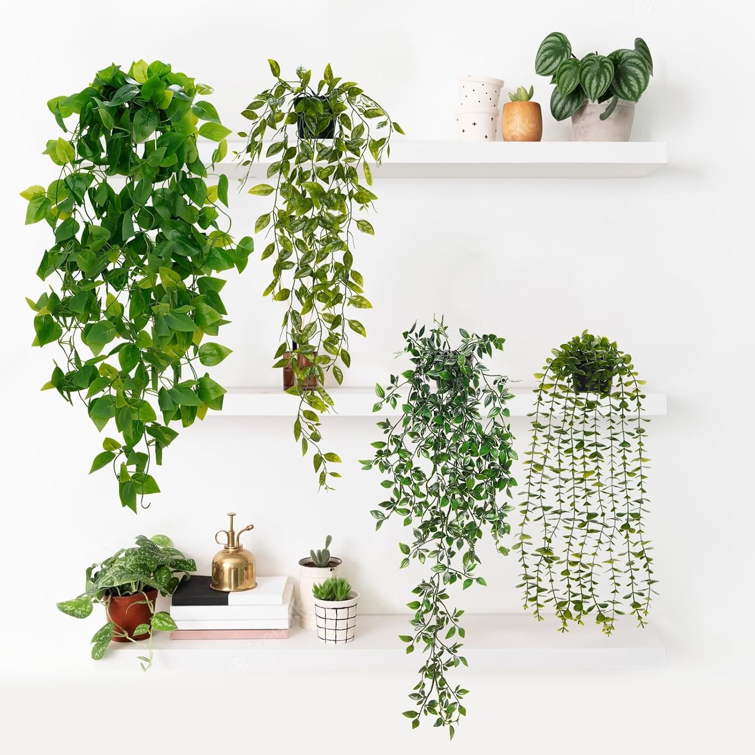 low maintenance indoor plants