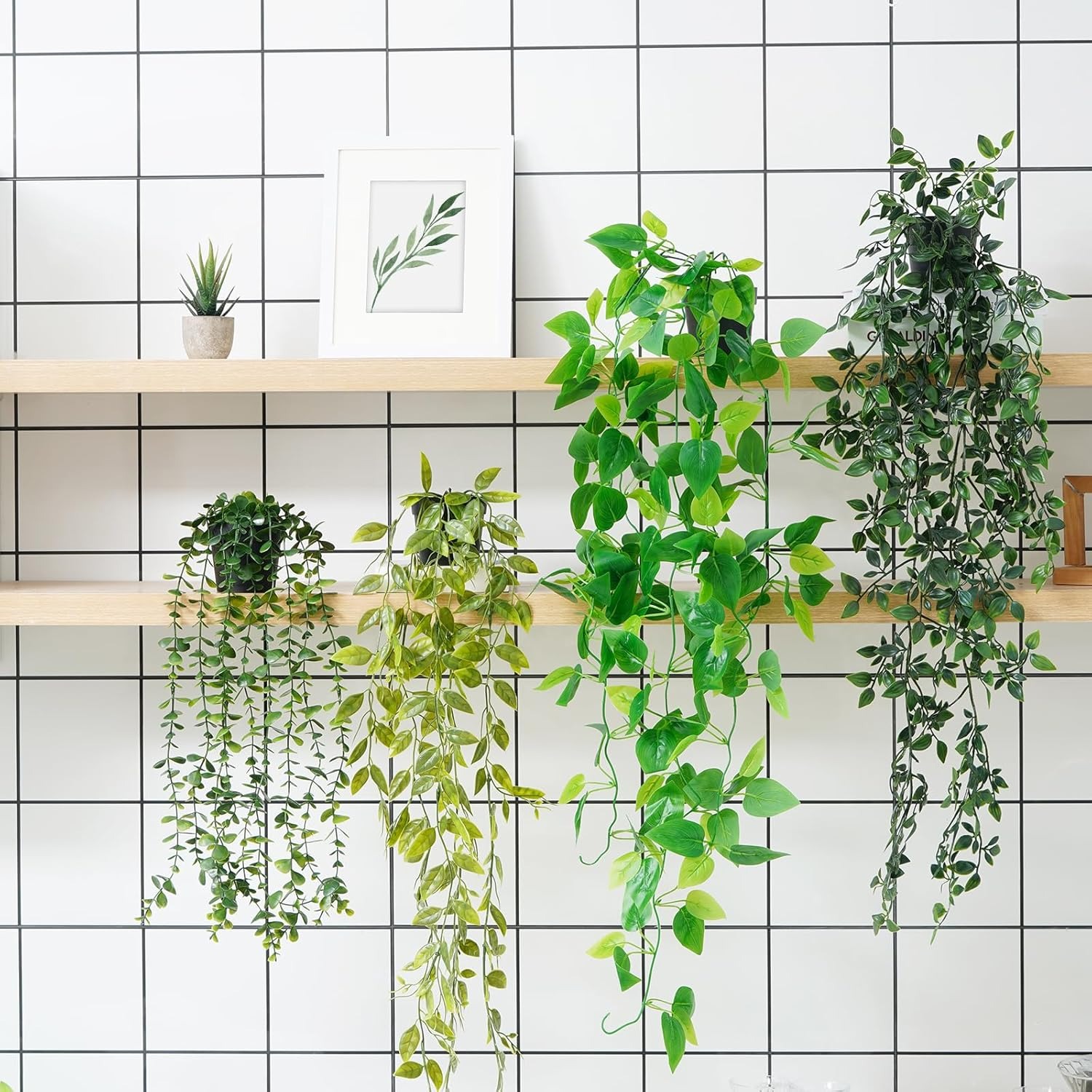 low maintenance indoor plants
