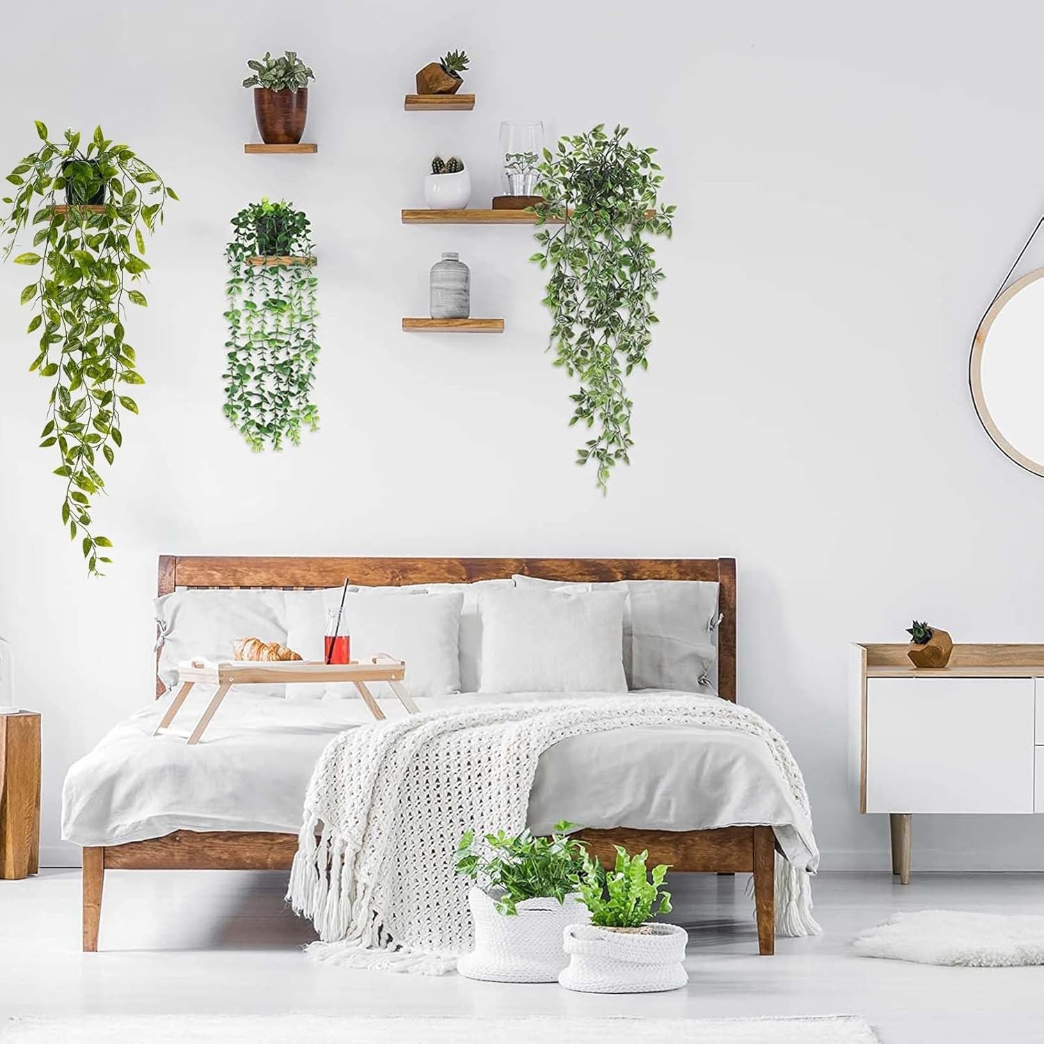 low maintenance indoor plants