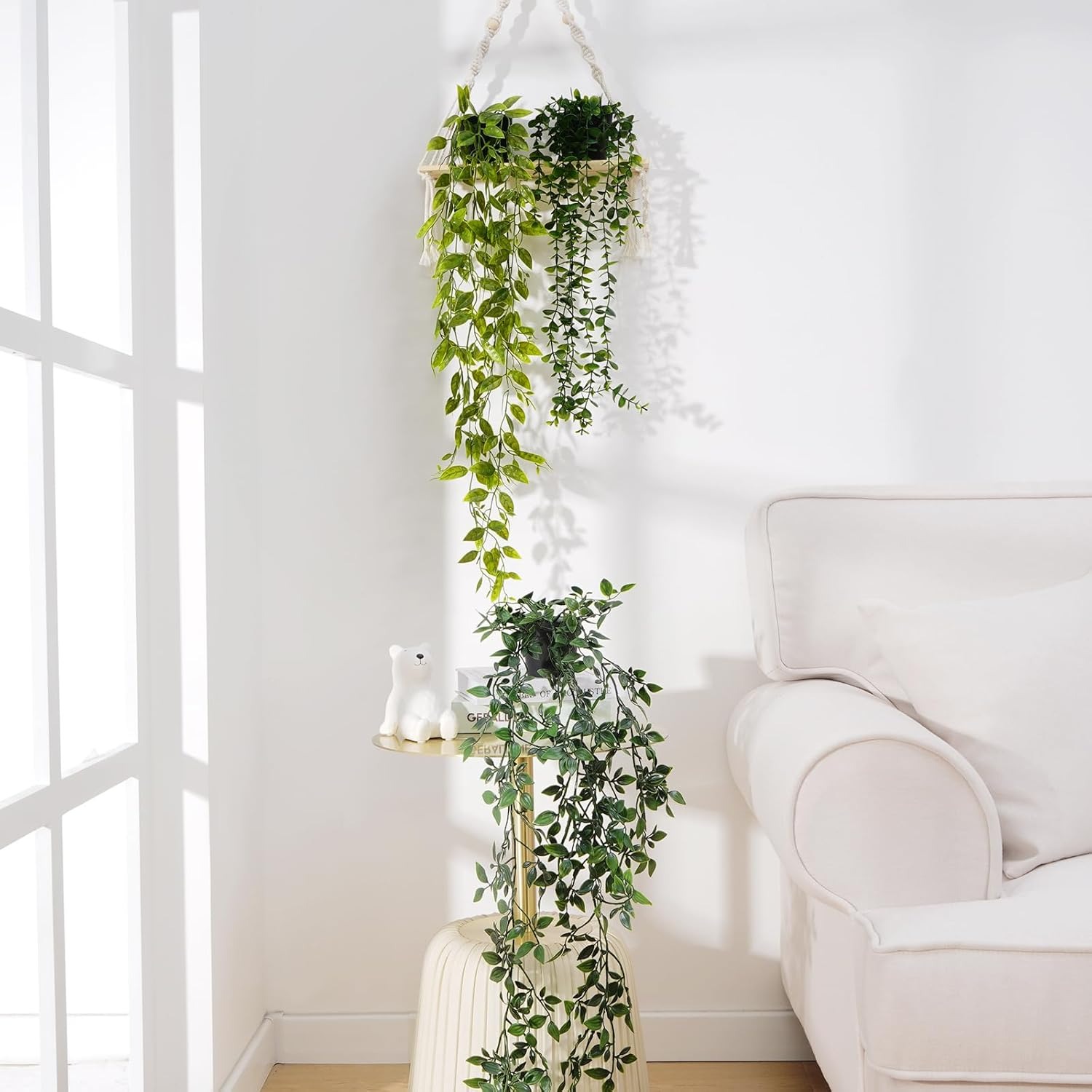 low maintenance indoor plants
