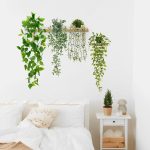 low maintenance indoor plants